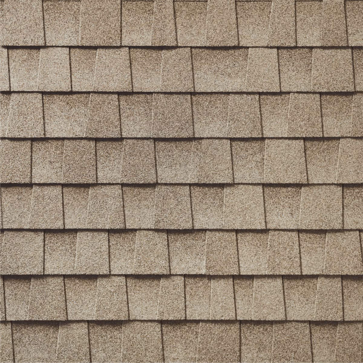 1 N Done Roofing Services Inc. Images