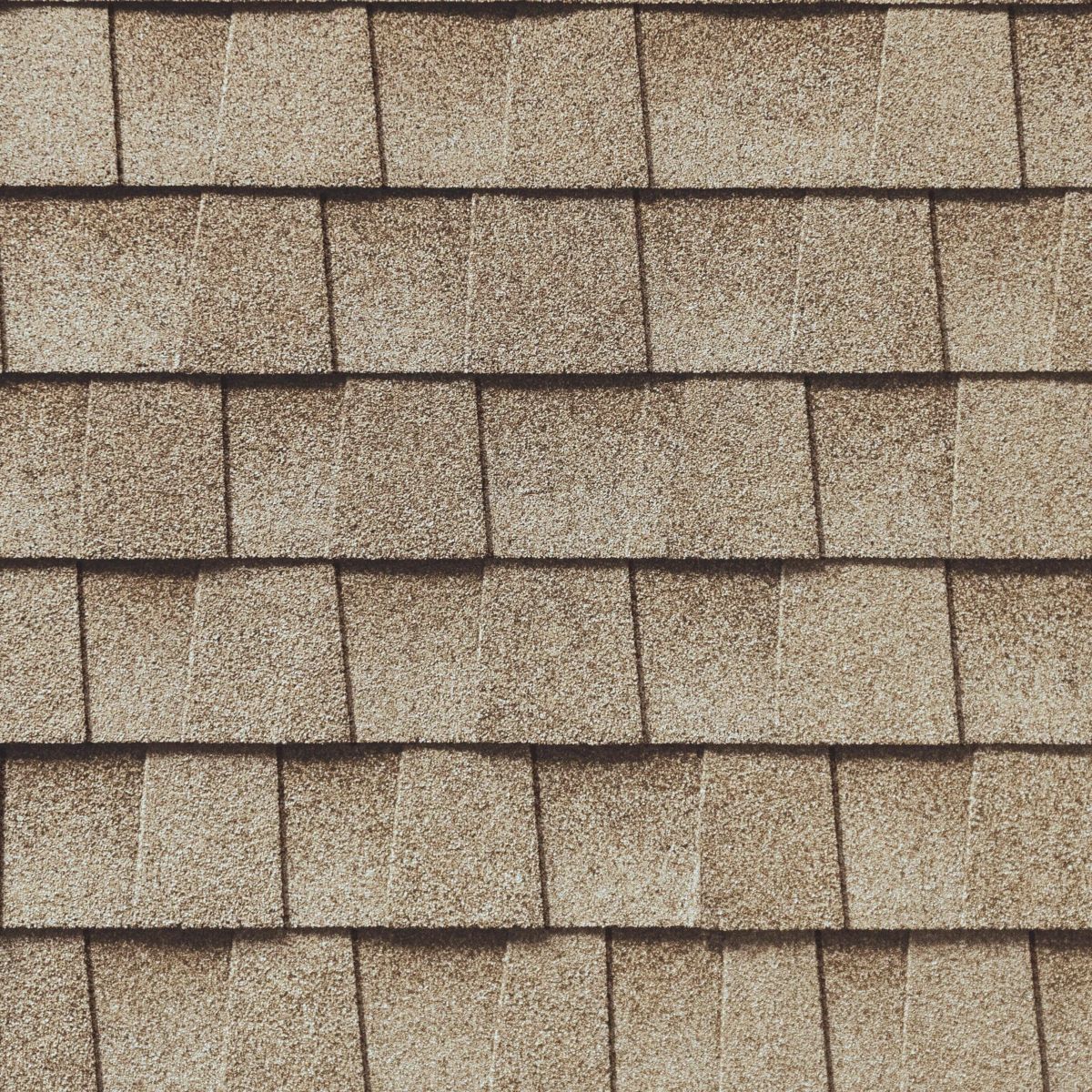 1 N Done Roofing Services Inc. Images