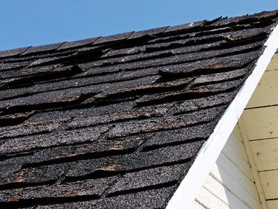 1 N Done Roofing Services Inc. Images