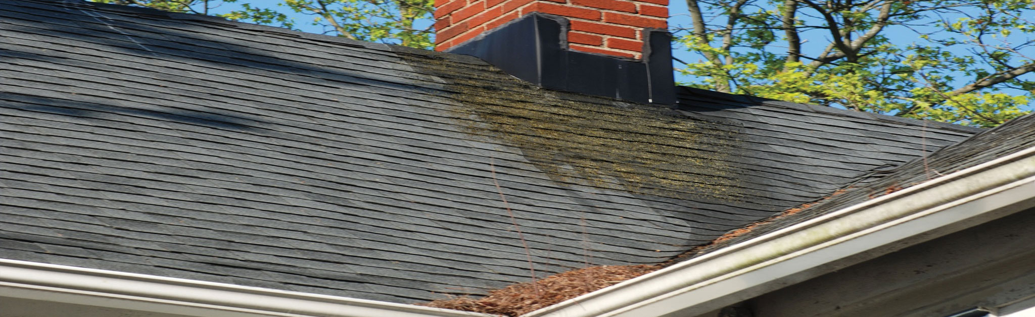 1 N Done Roofing Services Inc. Images